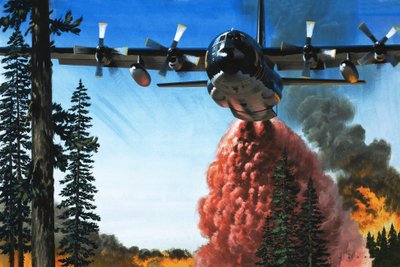 Bombardeamento de um incêndio florestal de Wilf (20th century) Hardy