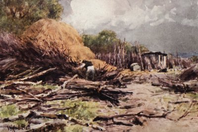 Japheth em ação (litografia a cores) de Wilfrid Williams Ball