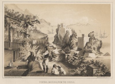Funchal, Madeira, from the Curral, 1885  de Wilhelm Joseph Heine