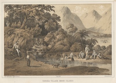 Village Village Bonin Islands, 1855 de Wilhelm Joseph Heine