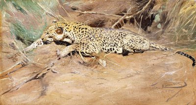 Um Leopardo, de Wilhelm Kuhnert