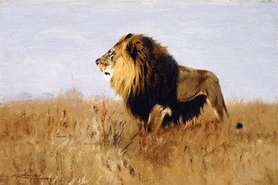 Leão à procura de presas, de Wilhelm Kuhnert
