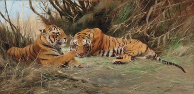Tigres ao amanhecer, 1913 de Wilhelm Kuhnert