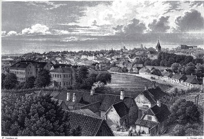 Vista de Dorpat, c. 1850 de Wilhelm Siegfried Stavenhagen