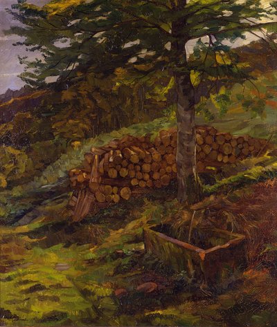 A fonte de Sigfrido no Odenwald de Wilhelm Trübner
