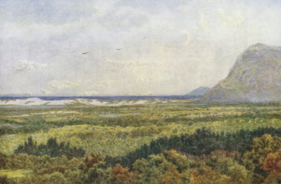 Vale de Constantia e Baía Falsa, com Cape Point (litografia a cores) de Wilhelm Westhofen
