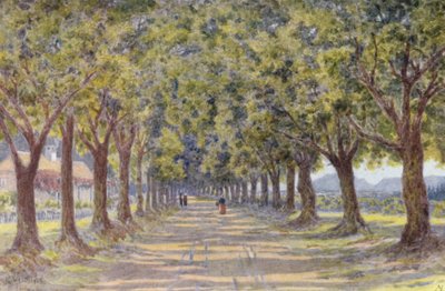 Oak Avenue, Newlands (litografia a cores) de Wilhelm Westhofen