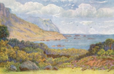 Na estrada Victoria, perto de Oude Kraal (litografia a cores) de Wilhelm Westhofen