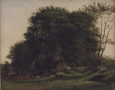 Desmatamento da floresta com gado de Wilhelm Xylander