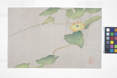 Flower Study, c.1908 (impressão em bloco de madeira a cores) de Wilhelmina Seegmiller