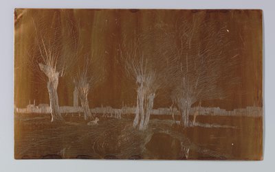 Salgueiros na vala perto do Binckhorstlaan em Haia de Willem Adrianus Grondhout (signed by artist)