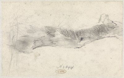 Estudo de uma árvore de Willem Anthonie van Deventer