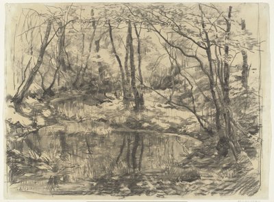 A lagoa coberta de vegetação em Ewijkshoeve de Willem Bastiaan Tholen