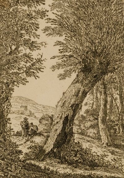 Paisagem com salgueiro de Willem Bemmel