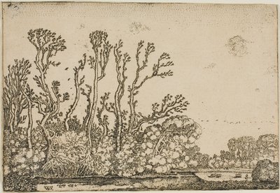 Paisagem com árvores, lagoa e ovelhas de Willem Buytewech