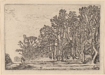Duas Sebes de Prancha de Willem Buytewech