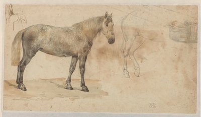 Estudos de um cavalo de Willem Carel Nakken