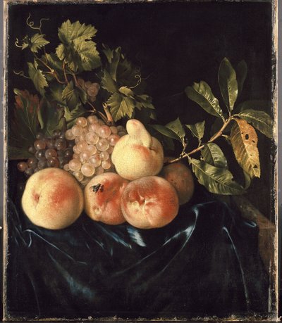 Ainda vida com pêssegos e uvas óleo sobre tela de Willem Frederik van Royen