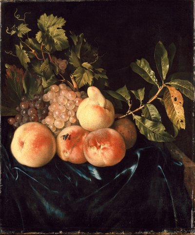 Still Life of Peaches and Grapes, 1705 de Willem Frederiksz van Royen