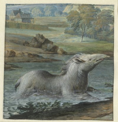 Anta na água de Willem Hendrik Wilhelmus van Royen
