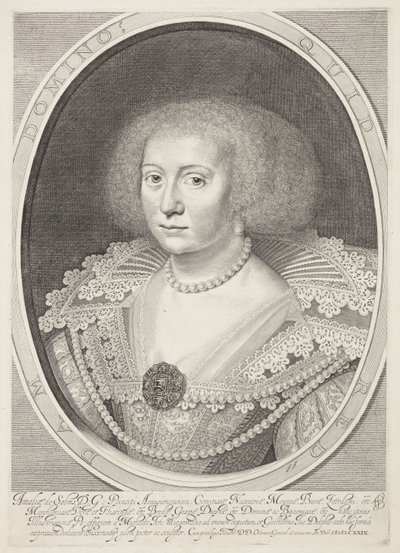 Retrato de Amalia de Solms de Willem Jacobsz Delff