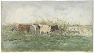 Vacas por uma poça de Willem Maris