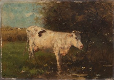 Vaca branca de Willem Maris