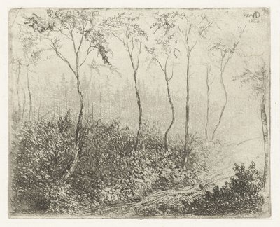 paisagem da floresta de Willem Matthias Jan van Dielen