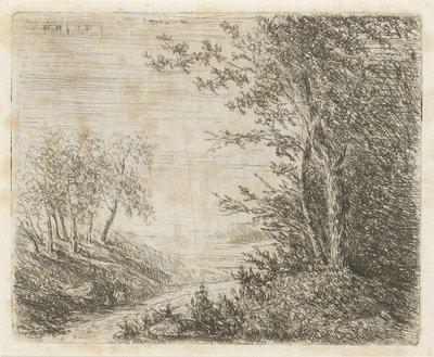 Paisagem montanhosa com riacho de Willem Matthias Jan van Dielen