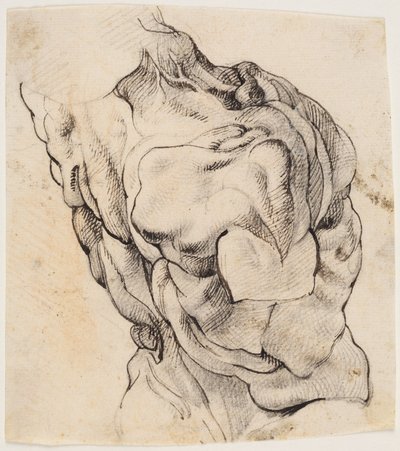 Estudo Anatômico (écorché). Torso de um homem esfolado visto de costas metade virada para a direita de Willem Panneels