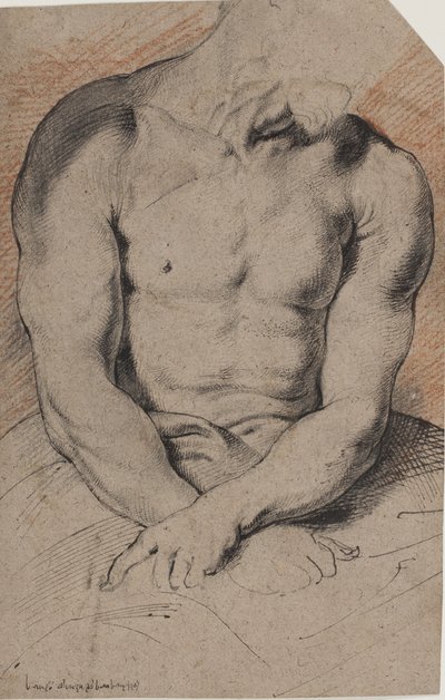 Cristo Coroado com Espinhos. O tronco de Cristo. Depois de Van Dyck de Willem Panneels