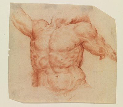 Vista frontal do torso de Laocoon de Willem Panneels