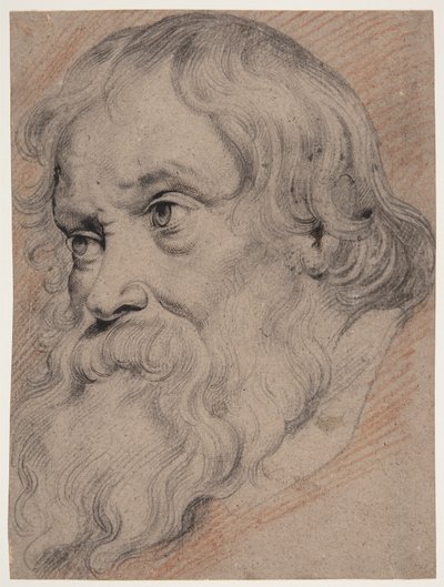 Cabeça de um homem idoso, barbudo, perfil de três quartos t.v. de Willem Panneels