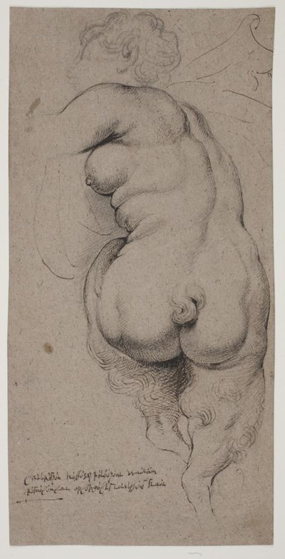 Fauno feminino, vista traseira de Willem Panneels