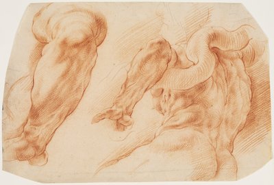 Laocoonte. Estudos do braço esquerdo de Laocoon e da parte de trás de seu torso vistos da esquerda e de baixo de Willem Panneels