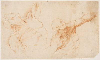 Dois estudos anatômicos (écorchés). Torso esfolado de um homem, seu braço esquerdo levantado de Willem Panneels