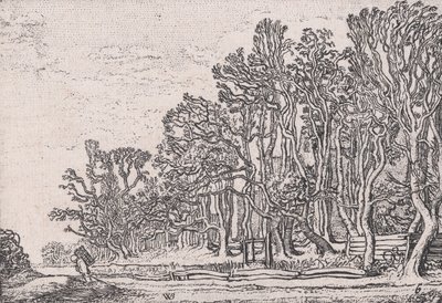 Duas Sebes de Prancha, de Verscheyden Landtschapjes Várias Pequenas Paisagens, Placa 6,..., ca. 1616. de Willem Pietersz. Buytewech