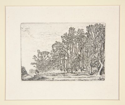 Duas sebes de tábuas, Placa 6 do Conjunto das Paisagens de Willem Pietersz. Buytewech