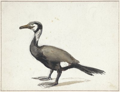 Cormorant de Willem Roelofs (I)