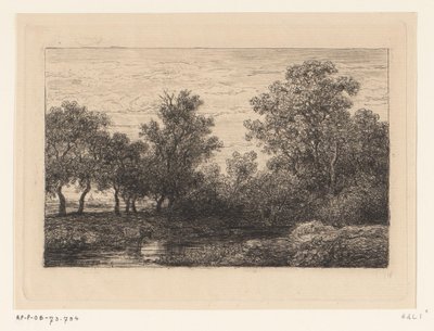 Brook de Willem Roelofs (I)