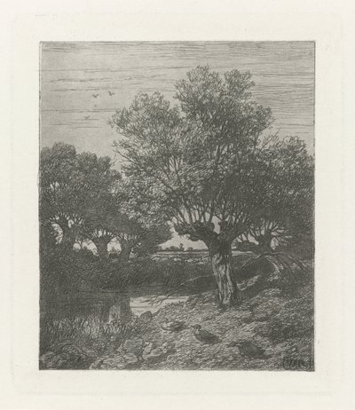 Patos numa vala de Willem Roelofs (I)