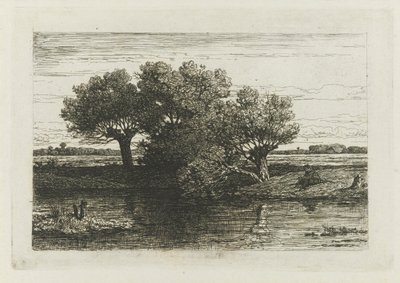Pescador junto aos salgueiros de sondagem de Willem Roelofs (I)