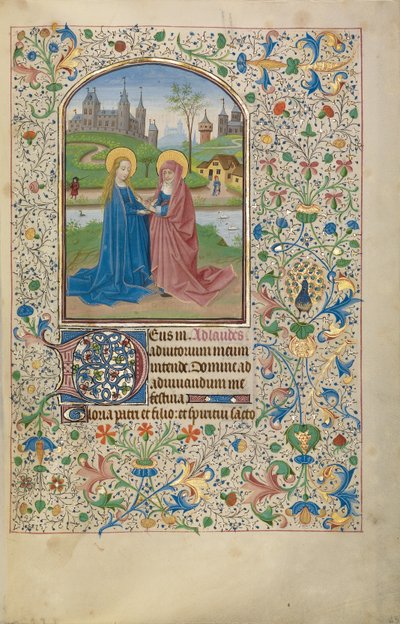 Die Heimsuchung de Willem Vrelant