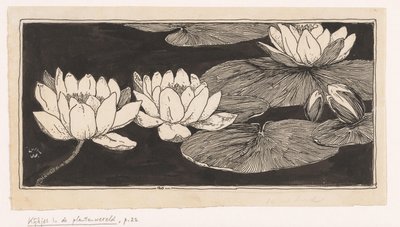 Waterlilies de Ludwig Willem Reymert Wenckebach