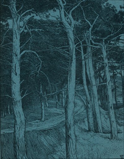 Floresta, c1912 de Willem Wenckebach