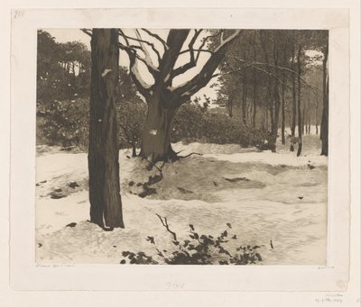 Paisagem de floresta nevada em Ede de Willem Witsen (signed by artist)