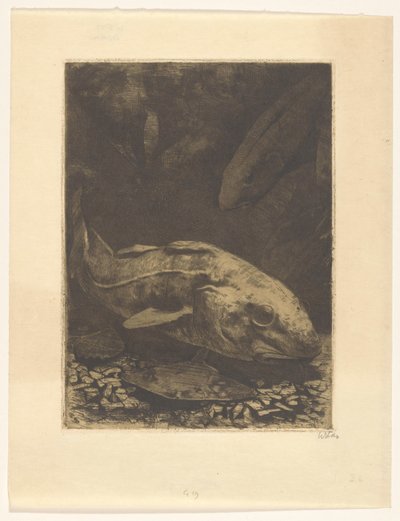 Peixes e plantas aquáticas de Willem Witsen (signed by artist)