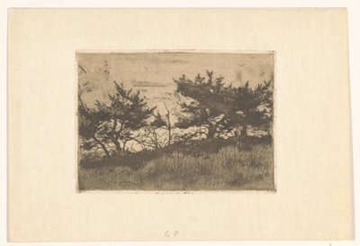 Árvores sobre uma colina de Willem Arnoldus Witsen