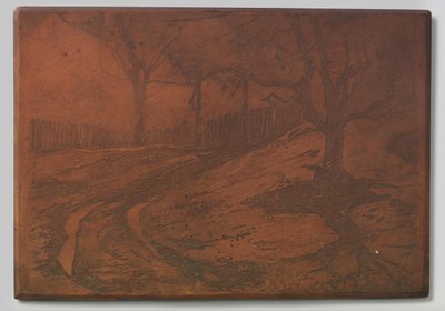Estrada das dunas de Willem Arnoldus Witsen
