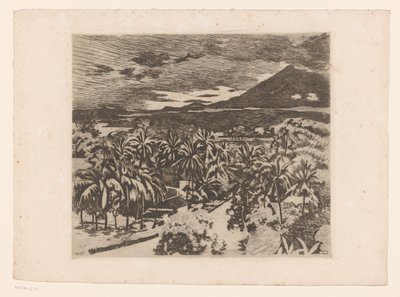 Vista de uma paisagem com árvores de aplausos em Buitenzorg de Willem Arnoldus Witsen
